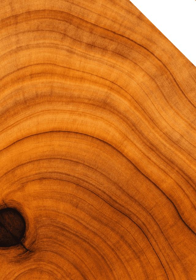 Build financial strength